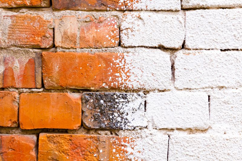 Brick Wall Painting in Longmont, CO