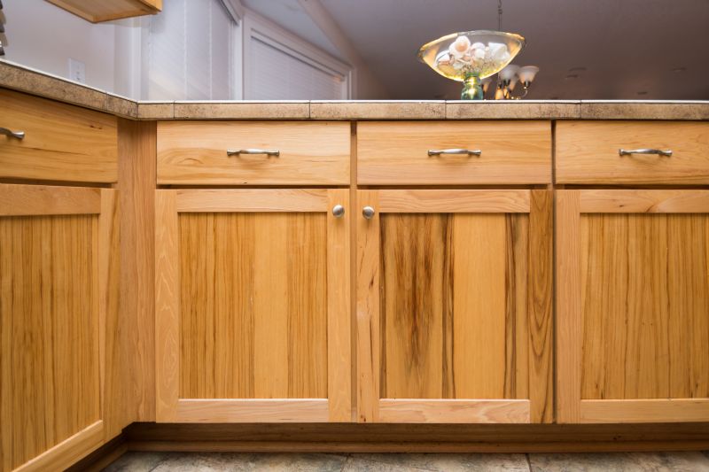 Built In Cabinetry Staining in Indianapolis, IN
