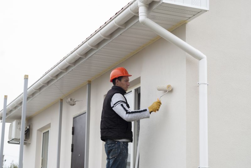 Cladding Painting in Boulder, CO