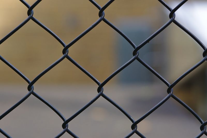 Wire Fence Painting in Waco, TX